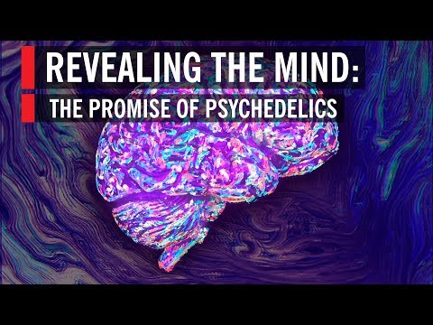 Revealing the Mind: The Promise of Psychedelics